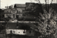skolka1