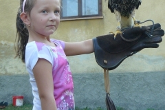 P1300593