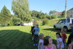 IMG_2050